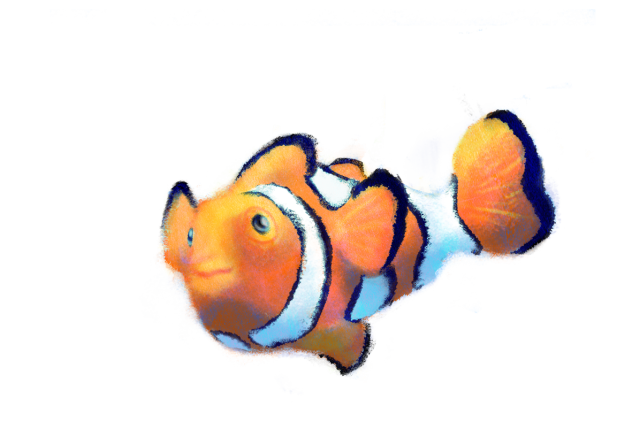 clown_fish_adjusted.png