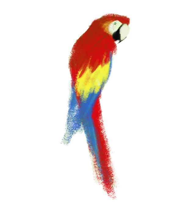 macaw_parrot.png